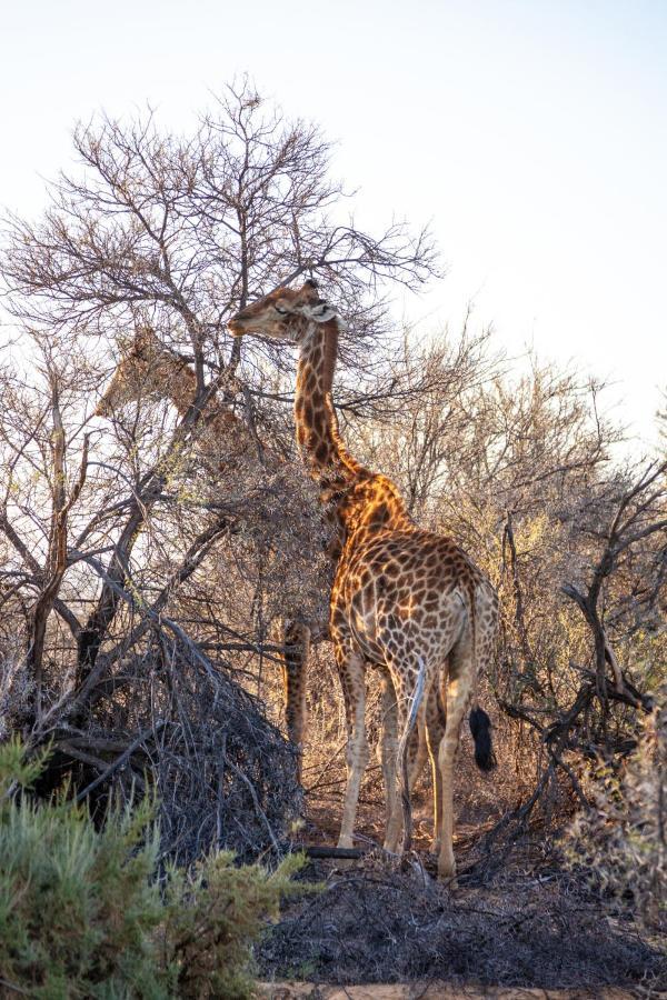 Inverdoorn Game Reserve Lodge Breede River Exterior foto