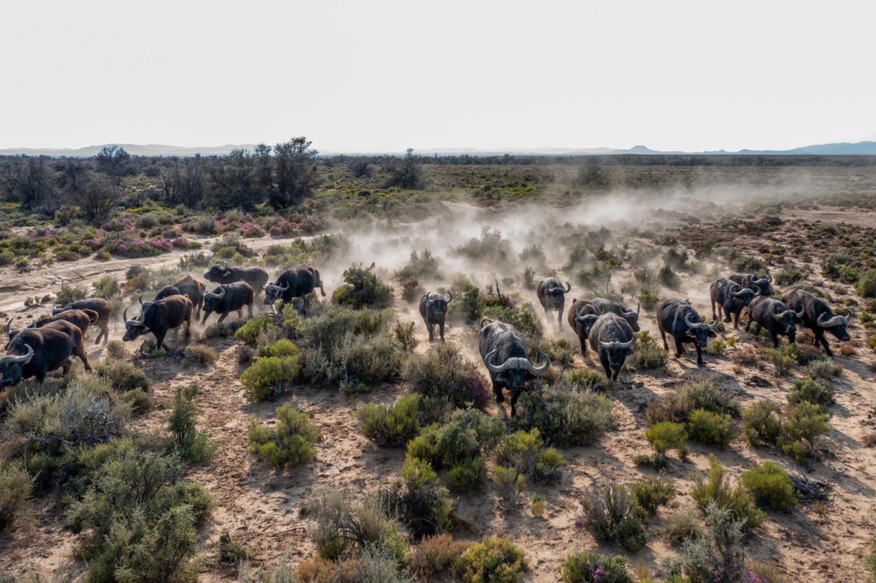 Inverdoorn Game Reserve Lodge Breede River Exterior foto